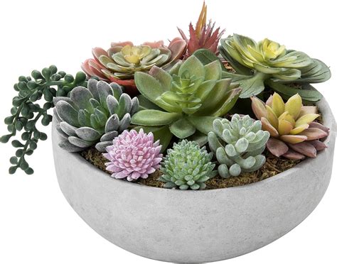 are succulents fake plants